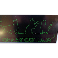 crazy cat lady wall sign